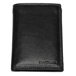 Kožená peněženka Sendi Design B221 black