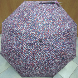 Deštník holový Blue Drop 8326